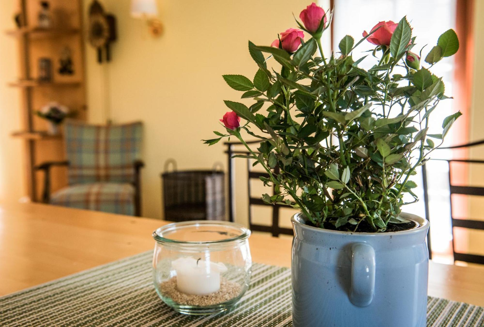 Ferienwohnungen Alte Destillerie Rathen Kamer foto